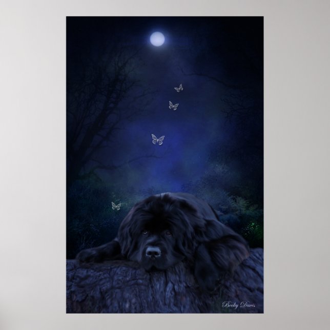 Póster Sonhador da Floresta (Frente)