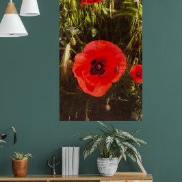 Poster Sonhadora de Papoula Floral – Arte de Fantasia Bot