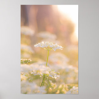 Poster Sonhando com as Flores