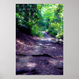 Poster Sonhando com uma trilha de caminhada