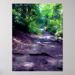 Poster Sonhando com uma trilha de caminhada