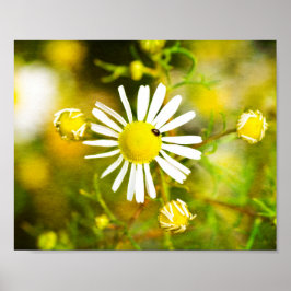 Poster Sonho Amarelo da Natureza