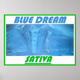 POSTER SONHO AZUL SATIVA