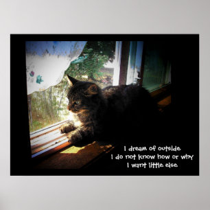 Póster Sonho com o Haiku Externo