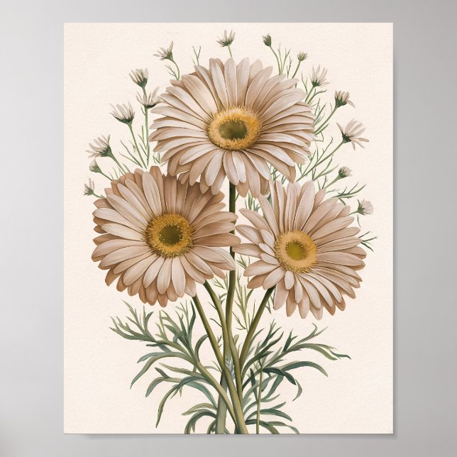 Poster Sonho da Margarida (Frente)