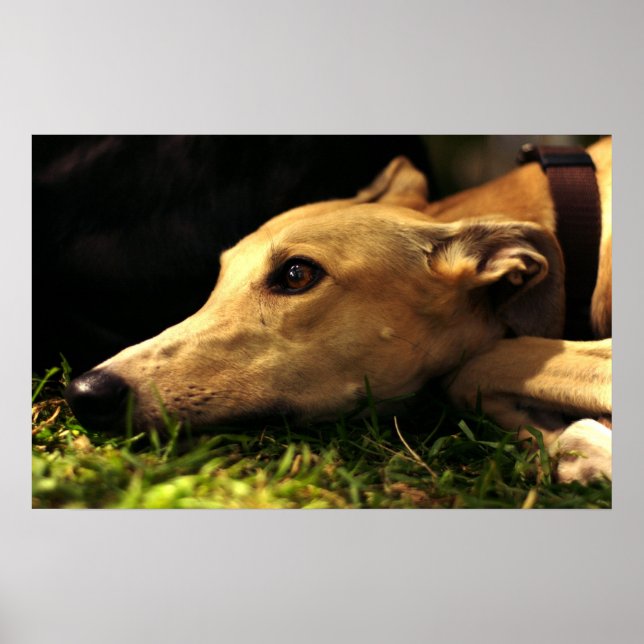 Póster Sonho de dia (Frente)