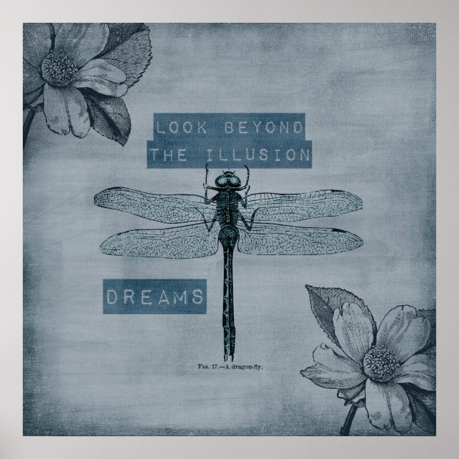 Póster Sonho de Dragonfly Illusion (Frente)