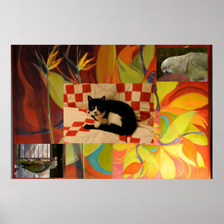 Póster Sonho de Euclid