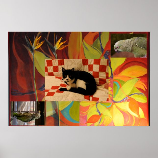 Póster Sonho de Euclid (Frente)