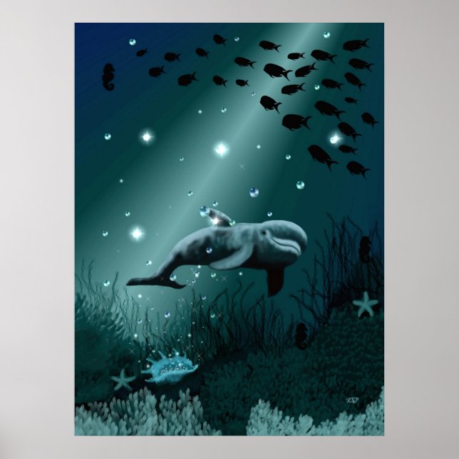 Poster Sonho de golfinho (Frente)