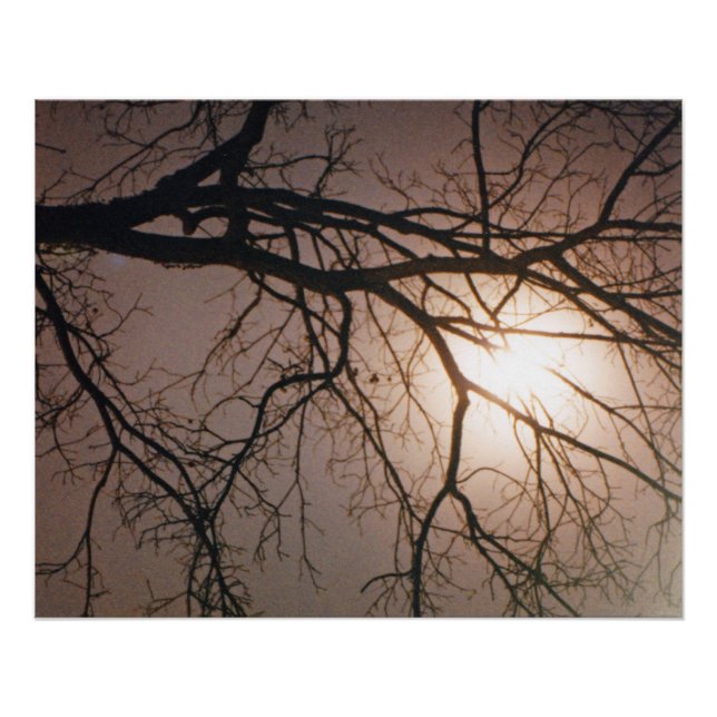 Póster Sonho de Lua (Frente)