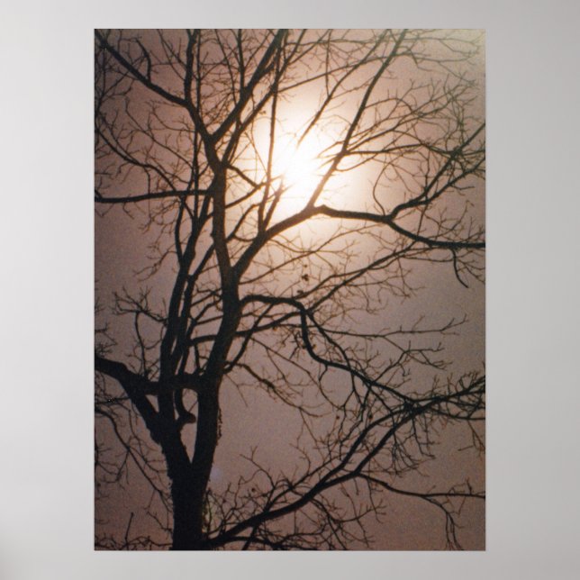 Poster Sonho de Lua (Frente)