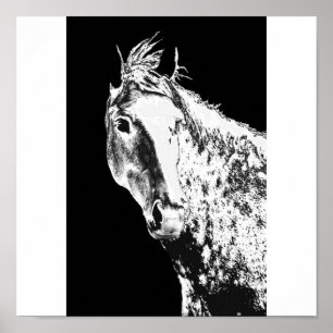 Póster sonho de prata