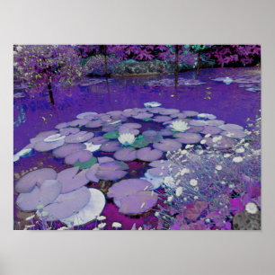 Póster Sonho de Purple Lake