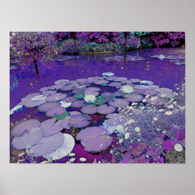 Póster Sonho de Purple Lake (Frente)