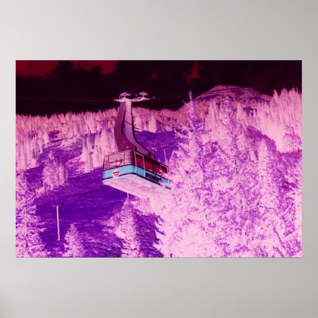 Póster Sonho de Snowbird (Frente)