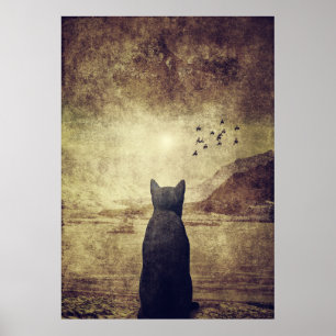 Póster Sonho do dia