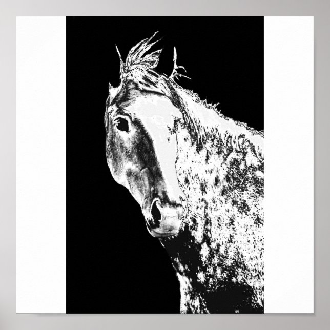 Póster sonho prateado (Frente)