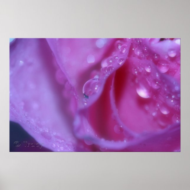 Poster Sonho Rosa (Frente)