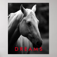 Sonhos Cavalo de Fechamento Branco Preto Motivacio