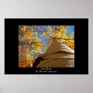 Poster Sonhos de Aspen