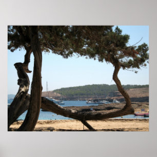 Póster Sonhos de Ibiza