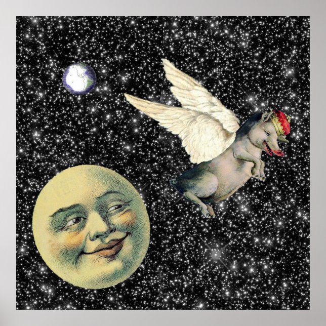 Poster Sonhos de Porcos (Frente)