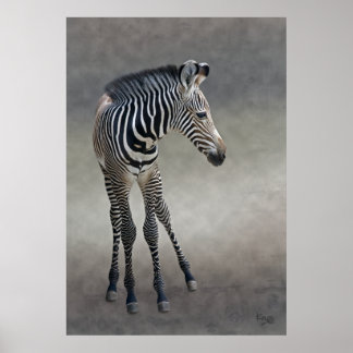 Póster Sonhos em Preto e Branco