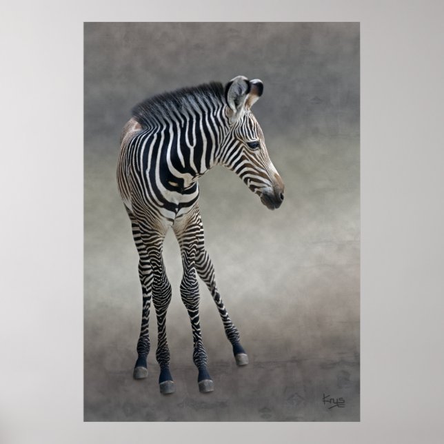 Póster Sonhos em Preto e Branco (Frente)