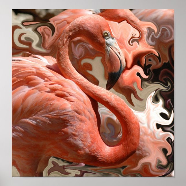 Póster Sonhos Flamingo (Frente)