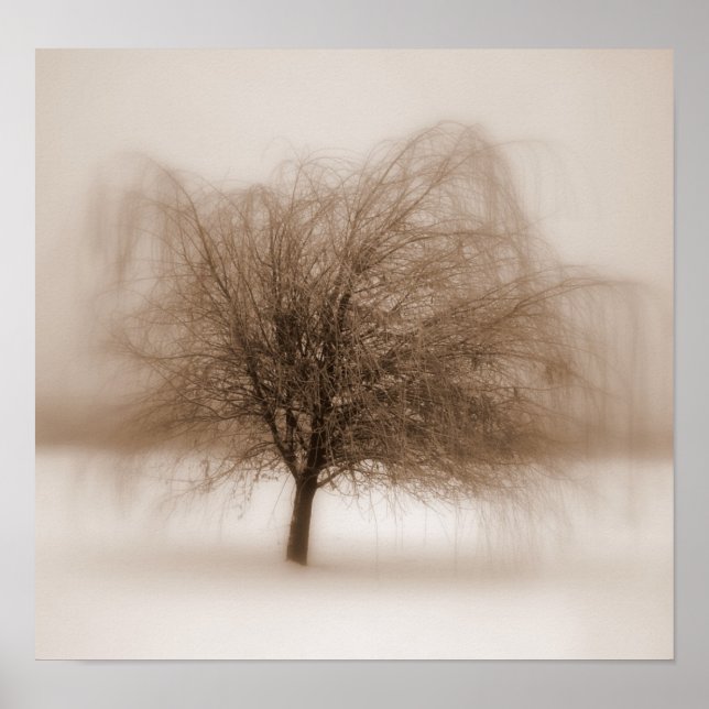 Póster Sonhos Místicos (Frente)