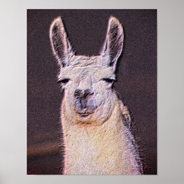Poster Sonolência Llama Enfrenta Arte Animal (Frente)