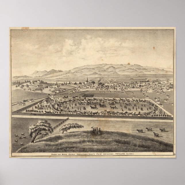 Póster Sonoma e Marin District Agricultural Society (Frente)
