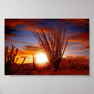 Póster Sonora Desert, Arizona