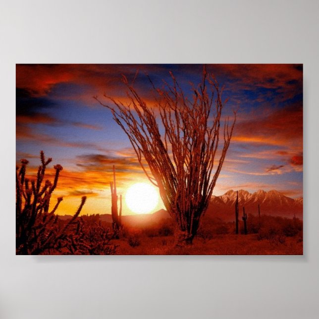 Póster Sonora Desert, Arizona (Frente)