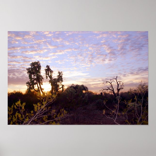 Poster Sonoran Sunset (Frente)