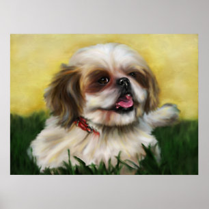 Póster Sophie Shih Tzu