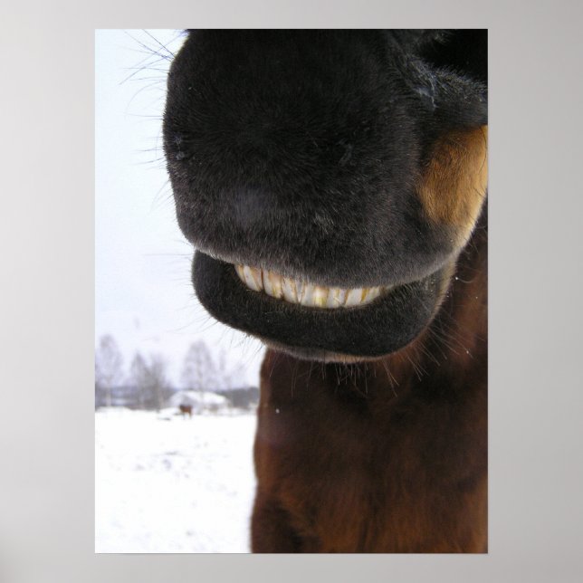 Póster Sorria (Frente)