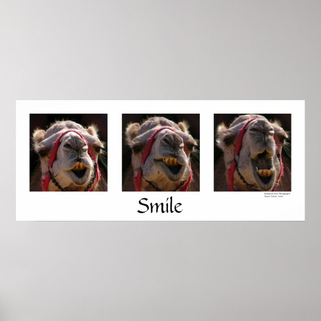 Póster Sorria (Frente)