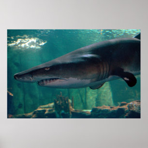 Poster Sorrir forçadamente de Toofy Li'l