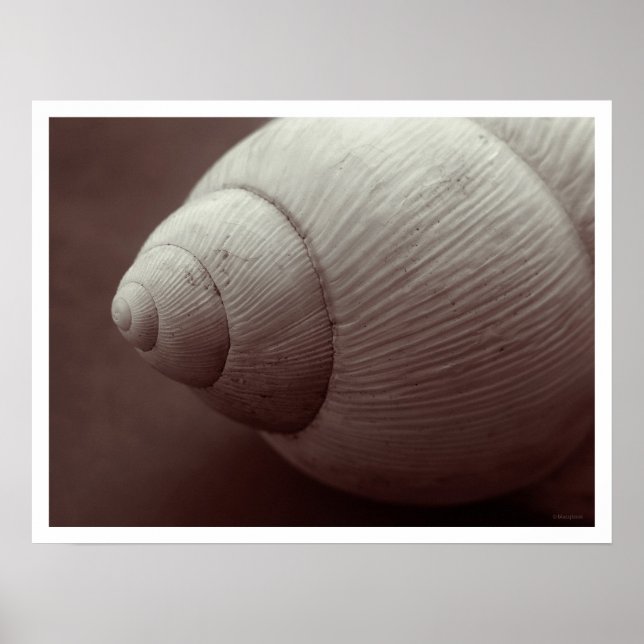 Póster sorriso (Frente)