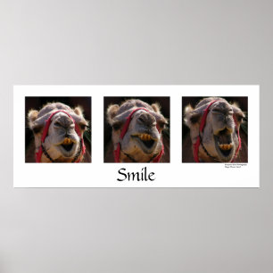 Póster Sorriso