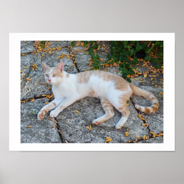 Póster Sortudo acordado (Frente)