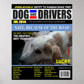 Póster Sortudo - Cachorro e Driver