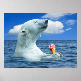 Poster Sorvete de alimentação do urso