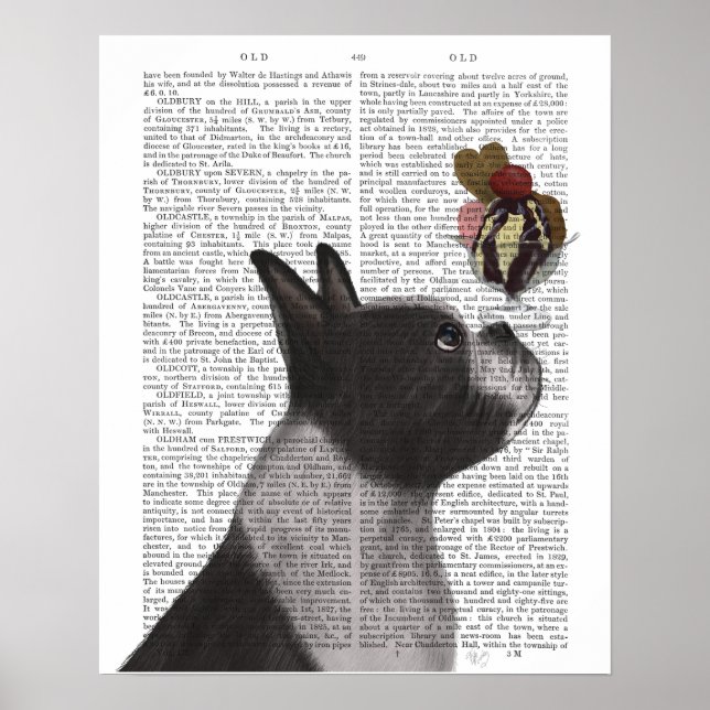 Poster Sorvete de Boston Terrier (Frente)