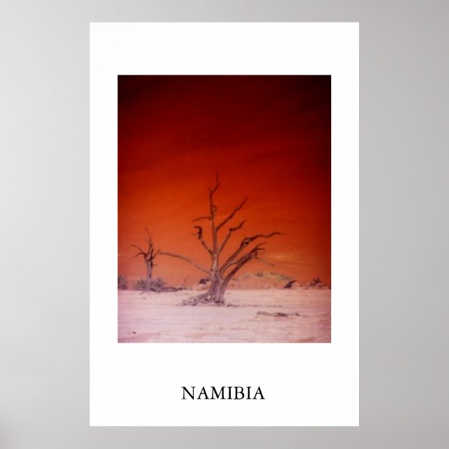 PÓSTER SOSSUSVLEI (Frente)