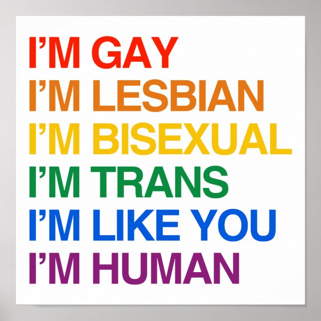 POSTER SOU GLBT, SOU HUMANO. (Frente)