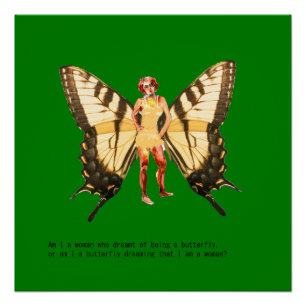 Póster Sou uma mulher que sonhava ser uma borboleta?
