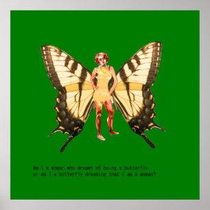 Poster Sou uma mulher que sonhava ser uma borboleta?